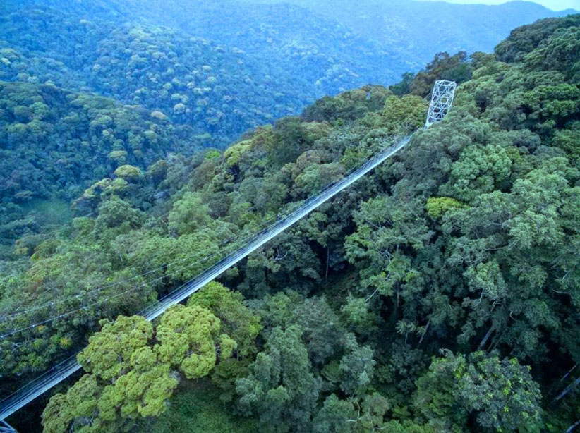 Nyungwe_National_Park