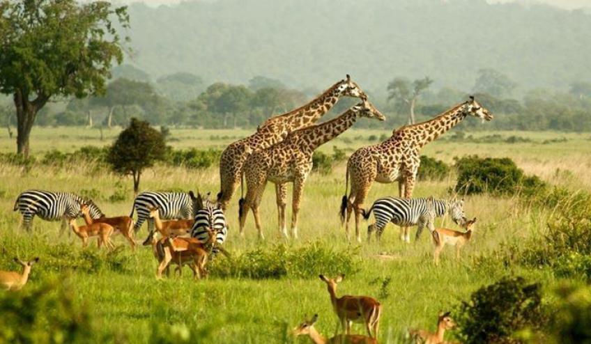 uganda_parks